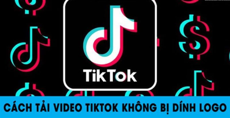 tải video TikTok tại Dowtik.com